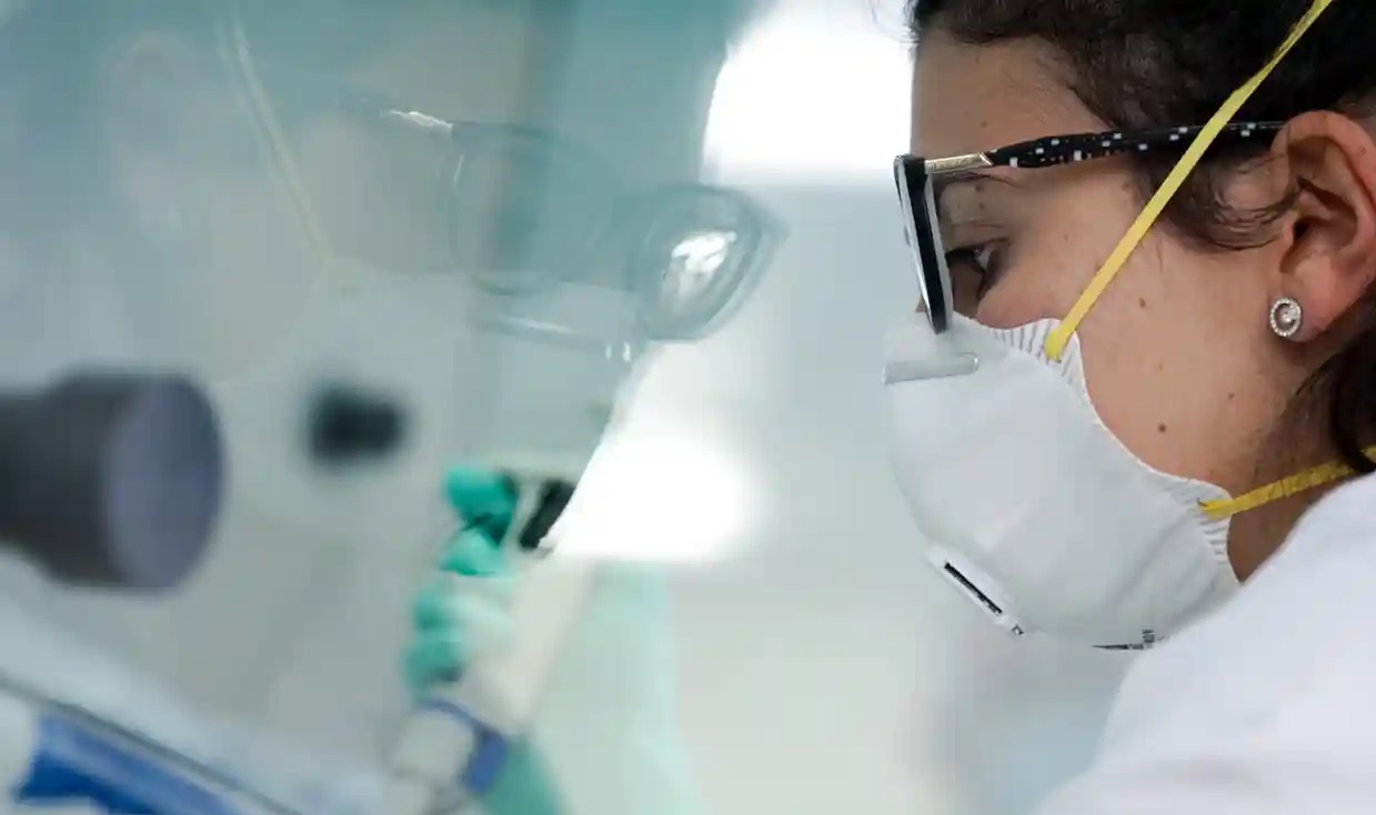 A scientist conducting research into coronavirus at the University of Mons, Belgium Photograph: Isopix/Rex/Shutterstock