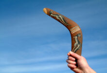 What Makes a Boomerang Come Back? Physical Matter and Forces